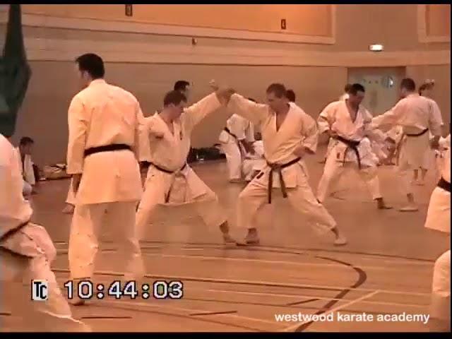 Training with Kawasoe & Naito Sensei