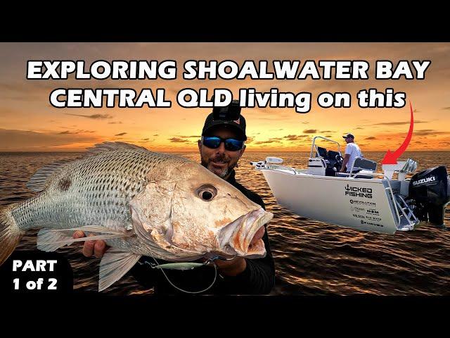 5 Day Liveaboard Solo Adventure | Shoalwater Bay Central QLD | Monster Fingermark & More