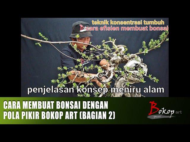 CARA MEMBUAT BONSAI DENGAN POLA PIKIR BOKOP ART (bagian 2)