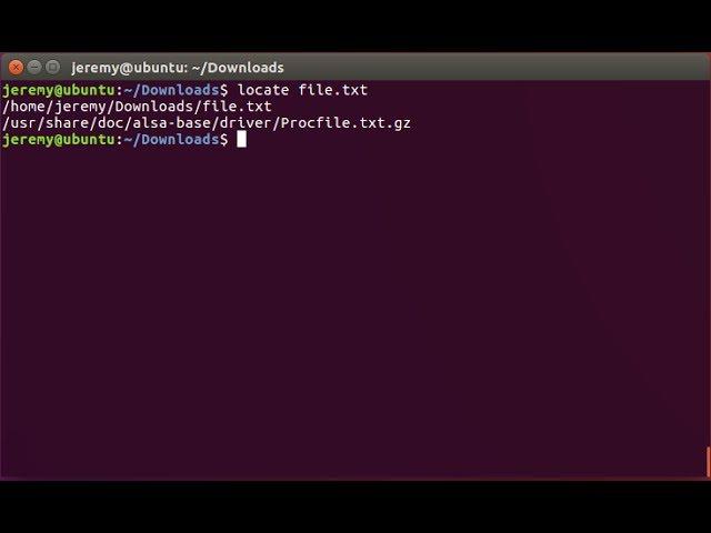 Linux Basics: How to Locate Files and Commands