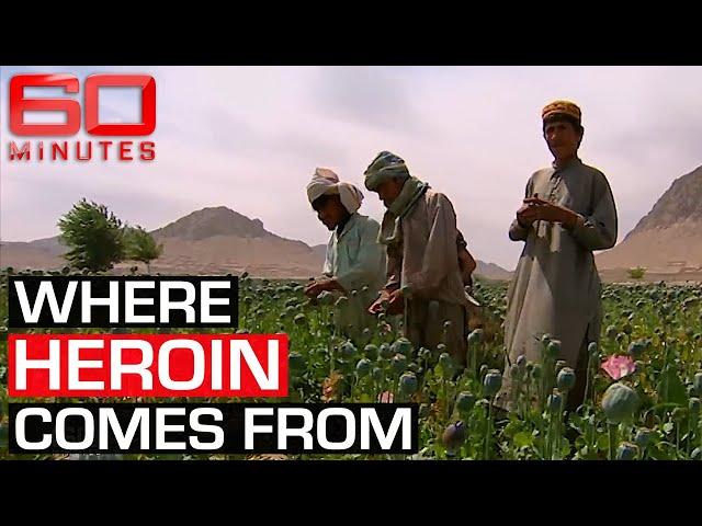 Inside Afghanistan's booming opium trade | 60 Minutes Australia