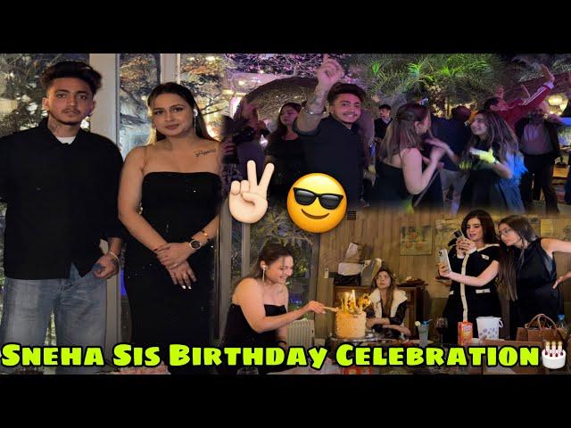 Sneha Sis Birthday Celebration || Funny vlog || Club Party | Mayank Vlogs