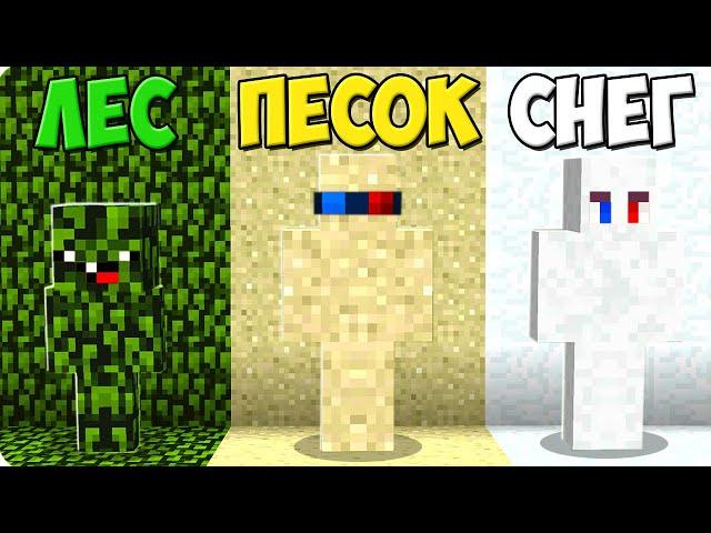 ПРЯТКИ НО У КАЖДОГО СВОЙ БИОМ В МАЙНКРАФТ! ШЕДИ ЛЕСКА И НУБИК ЧЕЛЛЕНДЖ MINECRAFT