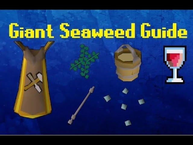 Ironman Giant Seaweed Crafting Guide