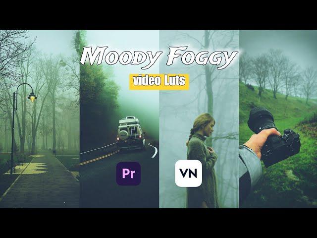 Cold Foggy Moody Cinematic Color Grading Tutorial|Moody color grading preset |Cinematic