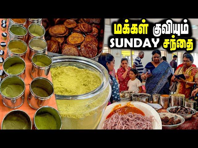 ஊரே பயன்பெறும் CHENNAIயின் SUNDAY சந்தை | DEC 01 2024 | MSF