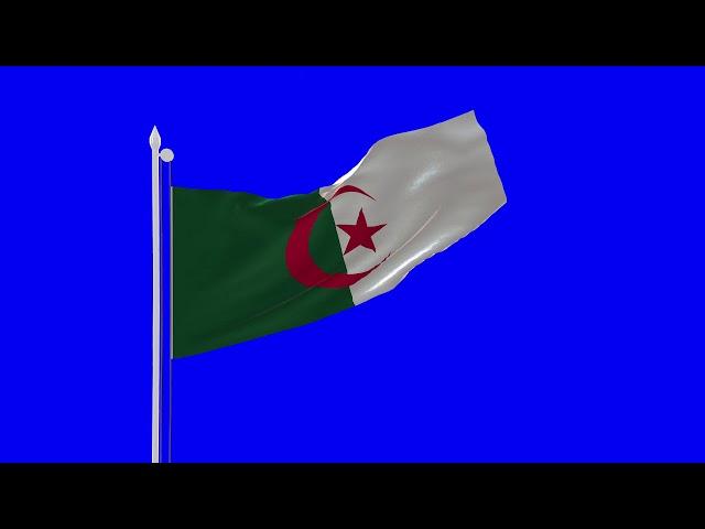 Algeria Flag Blue SCREEN Close and Long Shot