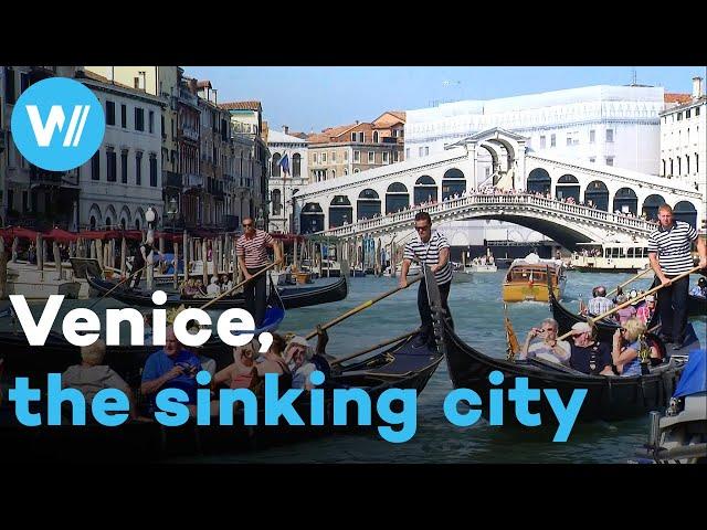 Saving Venice from sinking, the race against time is on for La Serenissima