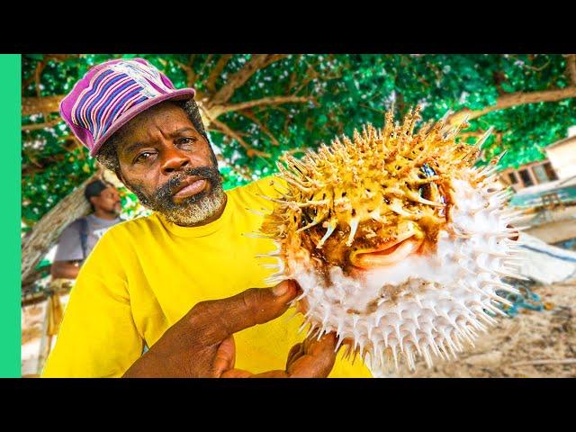 RARE Jamaican Food!! Cross-Country Jamaican Food Tour!! (Full Documentary)