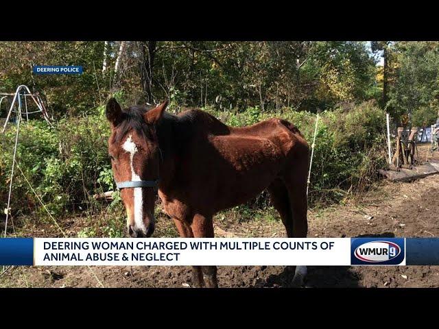 Deering woman charged with multiple counts of animal abuse and neglect