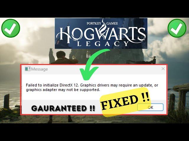 Hogwarts Legacy failed to initialize directX 12  Graphic drivers may require an update