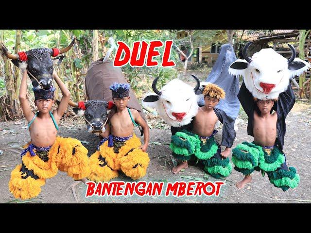 BANTENGAN MALANG VS BANTENG DEMAK | Nadin And Friend MAIN BARONGAN BANTENG  SAMPAI MBEROT DAN KALAP