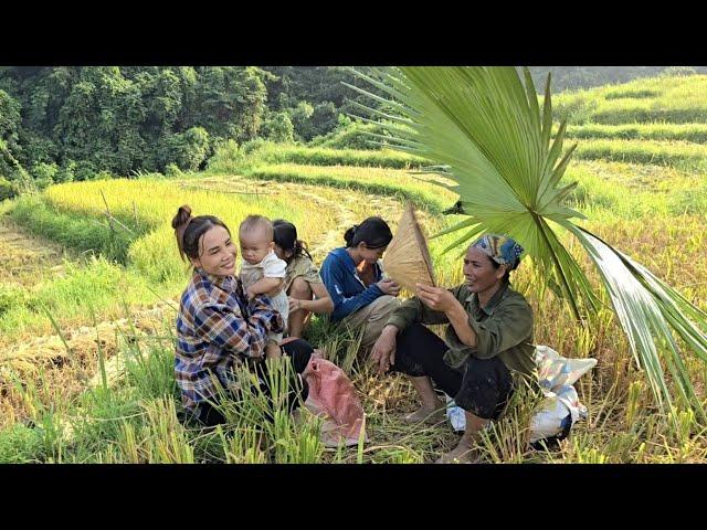 Hired to harvest rice.Gardening, growing vegetables under the guidance of an agricultural technician