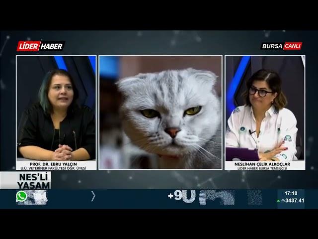 NESLİ YAŞAM | Prof. Dr. Ebru Yalçın - Hayvan hakları konusunda Türkiye Ne Durumda? 06 10 2022