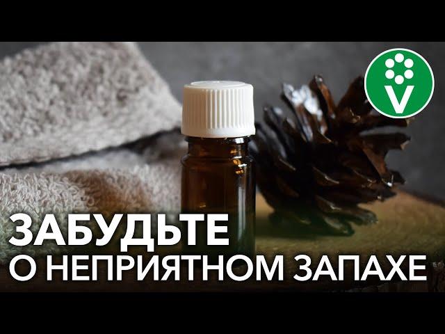 КАК ИЗБАВИТЬСЯ ОТ ЗАПАХА СТАРОСТИ И ОМОЛОДИТЬ КОЖУ? Простой и эффективный рецепт