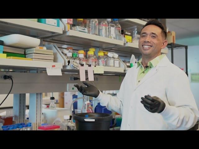 From lab coat to malo, JABSOM scientist competes in Merrie Monarch