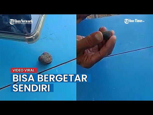 Viral, Video Penemuan Batu Aneh di Halaman SMPN Jember, Kepsek Duga untuk Sulap