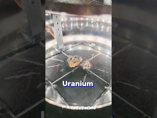 Heaviest element Uranium ️/#facts #science