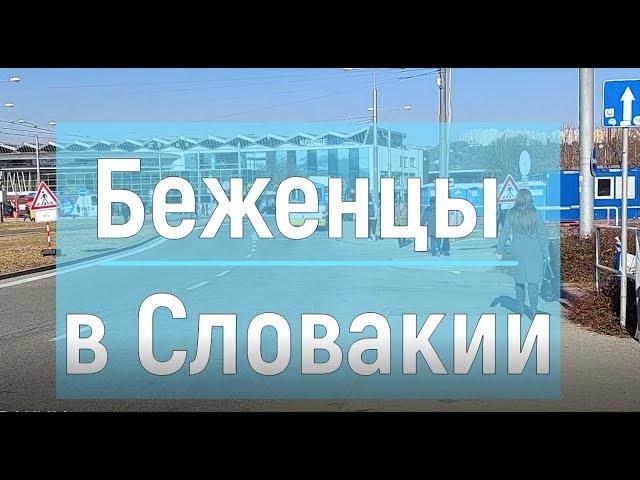 БЕЖЕНЦЫ В СЛОВАКИИ / куда обращаться по приезду и что делать дальше