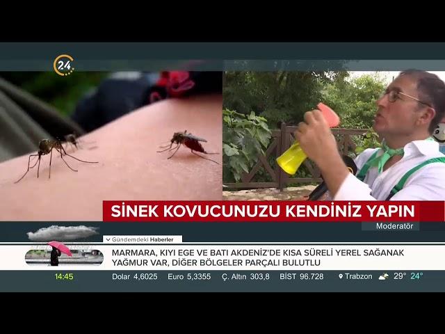 Sivrisineklerden doğal korunma yolları (Kimyasal spreyleri atın)