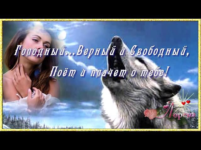 ТАНГО ОДИНОКОГО ВОЛКА...Love монтаж  ЛОРЕНА