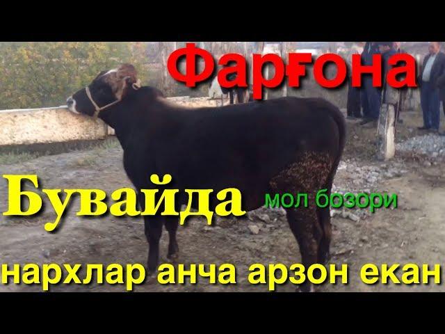 Фарғона.Бувайда мол бозори нархлари 26-октябрь