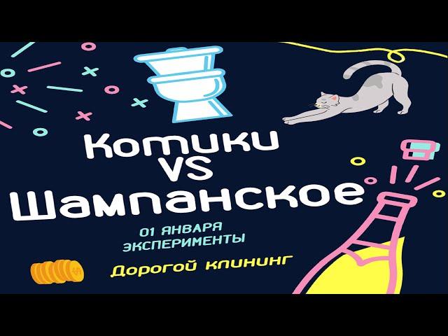 1 ЯНВАРЯ, ШАМПАНСКОЕ И ТУАЛЕТЫ КОТИКОВ. ДОРОГОЙ ЭКСПЕРИМЕНТ