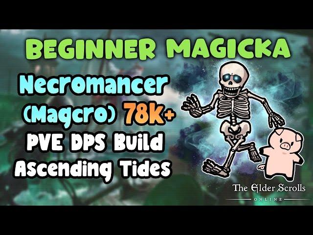 ESO Beginner Magicka Necromancer (Magcro) 78k+ PVE DPS Build Ascending Tides DLC