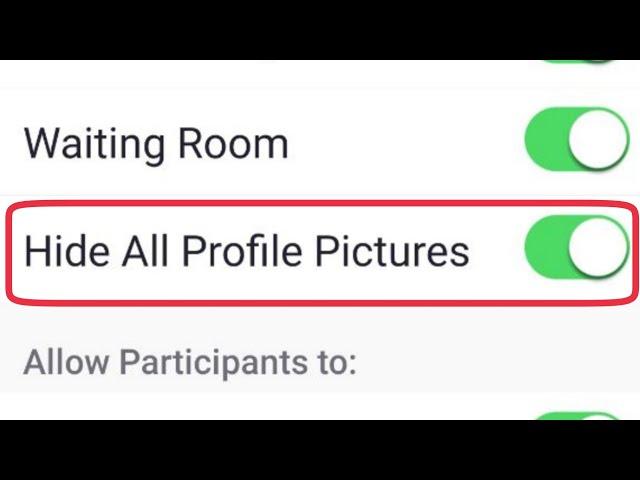 Meeting Hide All Profile Pictures in ZOOM Could Meetings