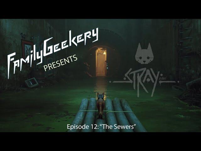 FamilyGeekery Plays Stray - Episode 12