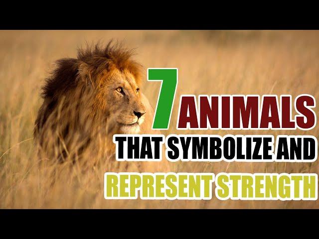 7 Animals That Symbolize and Represent Strength - Sign Meaning