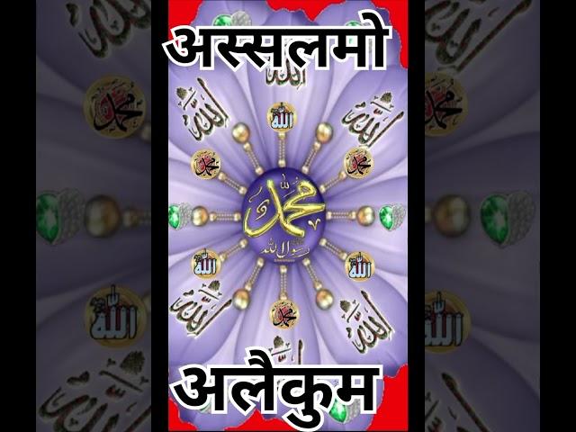 Weekly horoscope ali zanjani