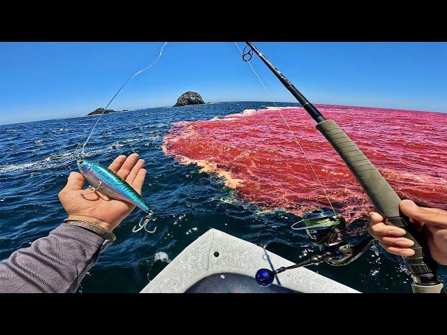 JAMÁS HABÍA VISTO EL MAR ASÍ! | Pesca en Marea Roja