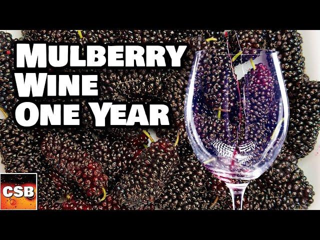 Mulberry Wine Tasting - Is this REALLY WINE AT ALL?