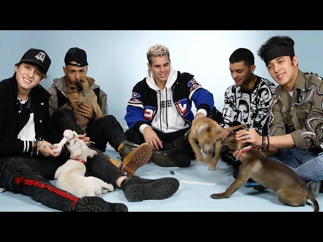 CNCO Plays With Puppies While Answering Fan Questions