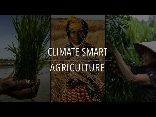 FAO Policy Series: Climate Smart Agriculture