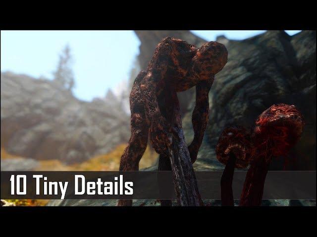 Skyrim: Yet Another 10 Tiny Details That You May Still Have Missed in The Elder Scrolls 5 (Part 18)