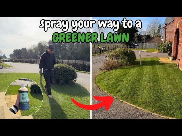 How to feed your lawn this March - Simple Lawn Care