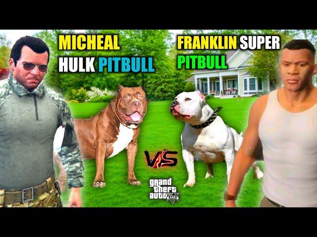 Gta 5 : (MICHEAL HULK PITBULL) Vs (FRANKLIN SUPER PITBULL)Epic DOG Fight!