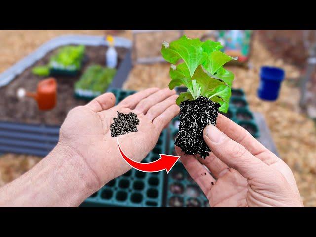 This New Method of Starting Seeds Will Change Your Life