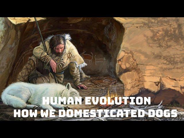 Human Evolution: Episode 1 - How We Domesticated Dogs