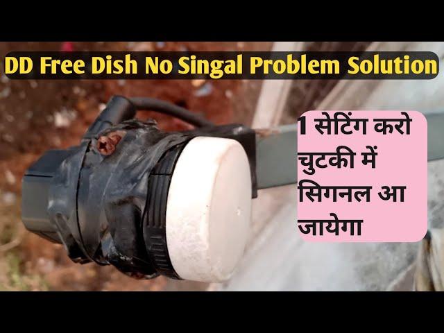 #short DD Free Dish No Signal Problem Solution | No signal Problem In DD free Dish ||