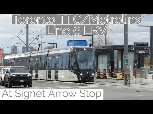 Toronto TTC/Metrolinx Line 6 Finch West LRV at Signet Arrow Stop 11/28/2024