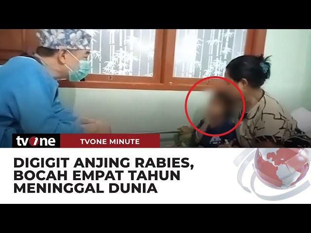 Bocah Empat Tahun Meninggal Usai Digigit Anjing Positif Rabies | tvOne Minute