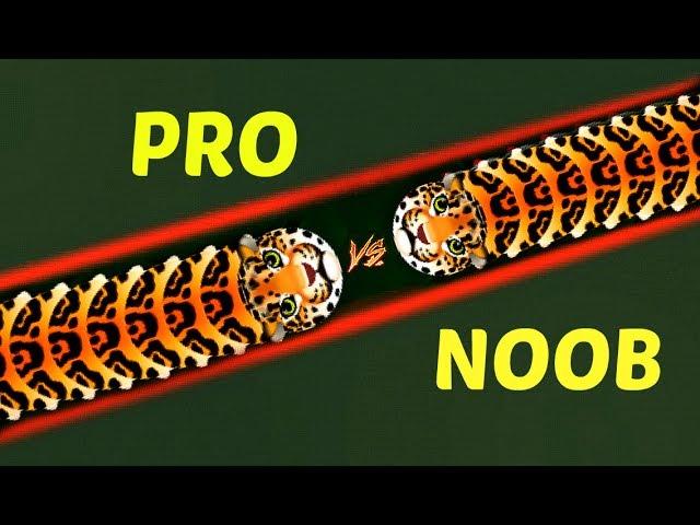 Wormax.io Pro Vs Noob // Epic Wormax.io Gameplay // (Giant Beast Worm) Wormaxio Best Gameplay!