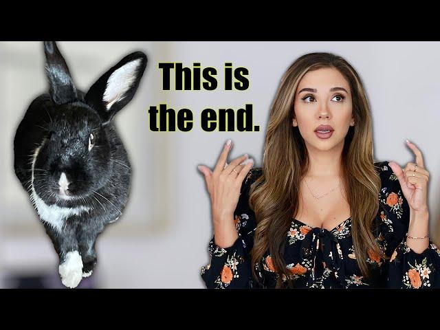 5 Things I Wish I Knew Before Getting a BUNNY