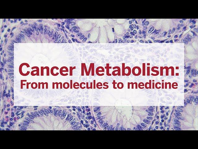 Cancer Metabolism: From molecules to medicine