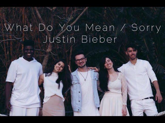 Voice In - What Do You Mean / Sorry - Justin Bieber (A Cappella Cover)