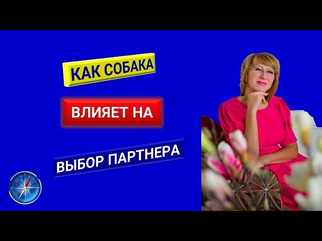 КАК СОБАКА ВЛИЯЕТ НА ВЫБОР ПАРТНЕРА