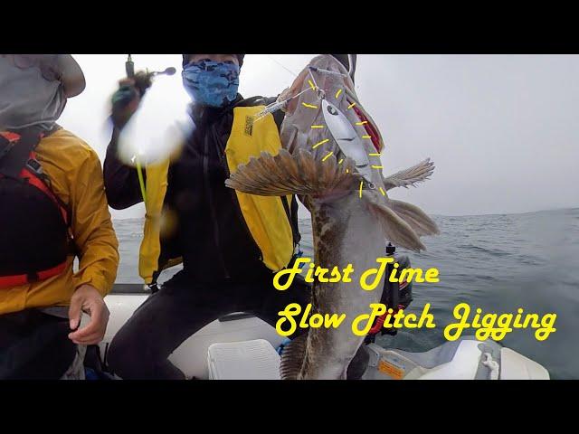 First Time trying Live Bait and Slow Pitch Jigging for BIG LING COD!